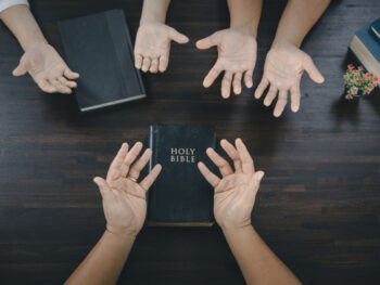 {{brizy_dc_image_alt entityId=