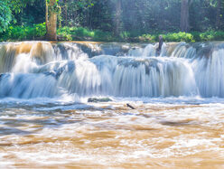 {{brizy_dc_image_alt entityId=