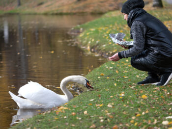 {{brizy_dc_image_alt entityId=